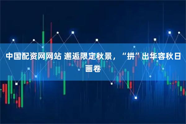 中国配资网网站 邂逅限定秋景，“拼”出华容秋日画卷
