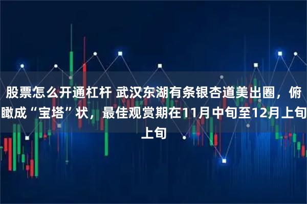 股票怎么开通杠杆 武汉东湖有条银杏道美出圈，俯瞰成“宝塔”状，最佳观赏期在11月中旬至12月上旬