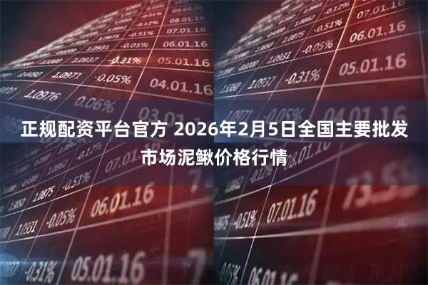 正规配资平台官方 2026年2月5日全国主要批发市场泥鳅价格行情