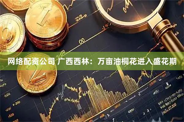 网络配资公司 广西西林：万亩油桐花进入盛花期