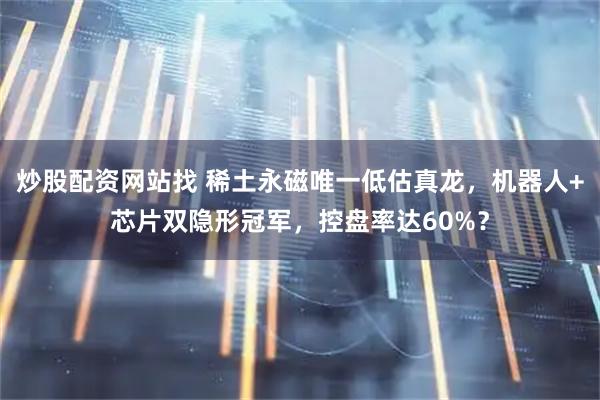 炒股配资网站找 稀土永磁唯一低估真龙，机器人+芯片双隐形冠军，控盘率达60%？