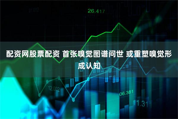 配资网股票配资 首张嗅觉图谱问世 或重塑嗅觉形成认知